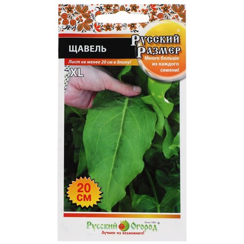 ������ ������ ������ ������� ������ ����� ������� ������ ������, 1 � ����