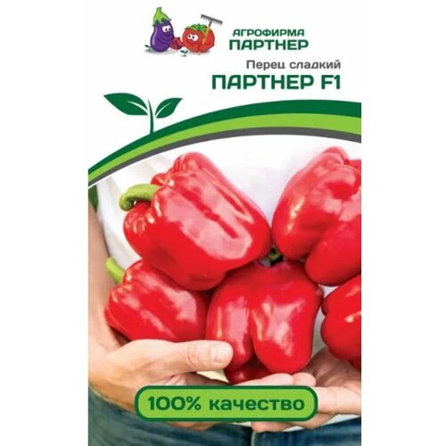 ������ ������ ������ ����� 