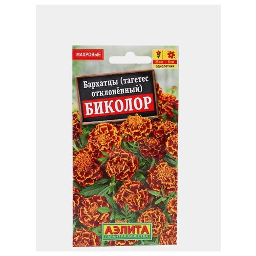 ������ ������ ������ �������� 