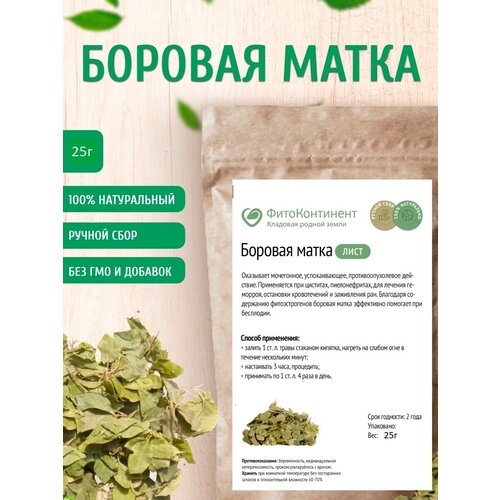 ������ ������ ������� ����� ������, 25 �� ����