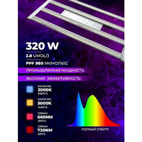 ������ ������ ��������� ��� ������� � �������� ����