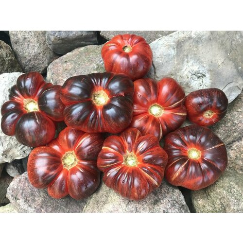 ������ ������ ������ ������ ������� ��������� (Blue Dutchman) / Seeds And Goods / � �������� zip-lock ��� ���������� 10 ����� ����