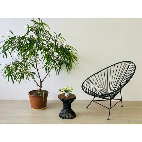 ������ ������ ������ �������, ����� ����