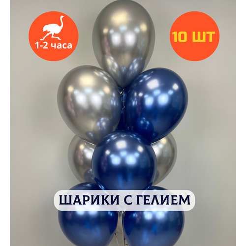 ������ ������ ������ ��������� �� ���� ��������, ��������� ���� � ������, ���� � ���� ��������, ����� ����� ��� ������� 
