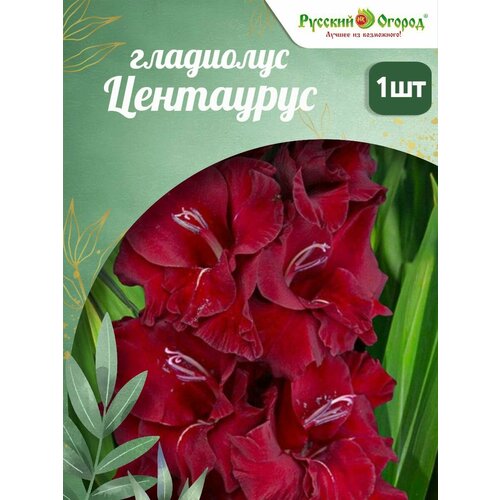 ������ ������ ��������� ������� ������ 