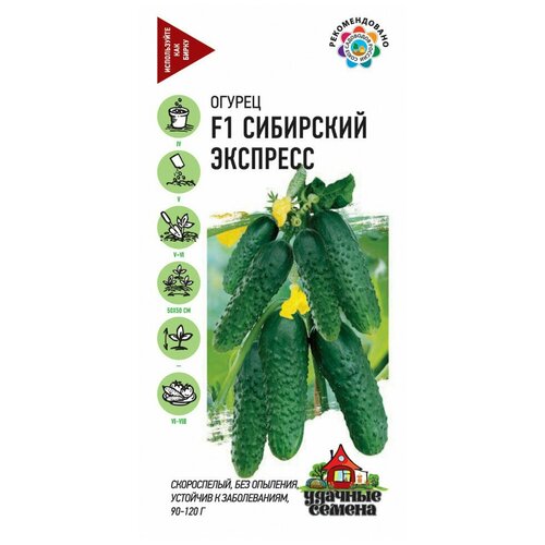 ������ ������ ������ ������ ��������� �������� F1, 10��, ������� ������, 10 �������� ����