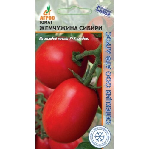 ������ ������ ������ ����� ��������� ������ 0,08� ����� (�����) ����