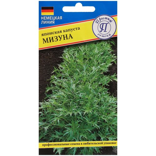 ������ ������ ������ ������� �������� 