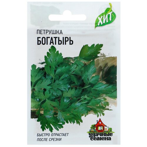 ������ ������ ������ �������� ������������� 