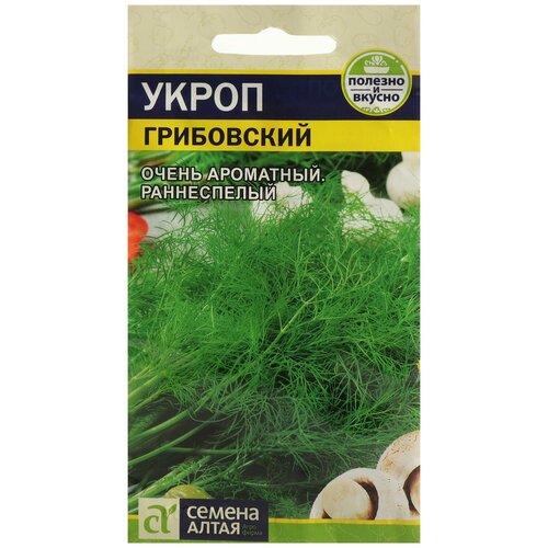 ������ ������ ������ ����� 