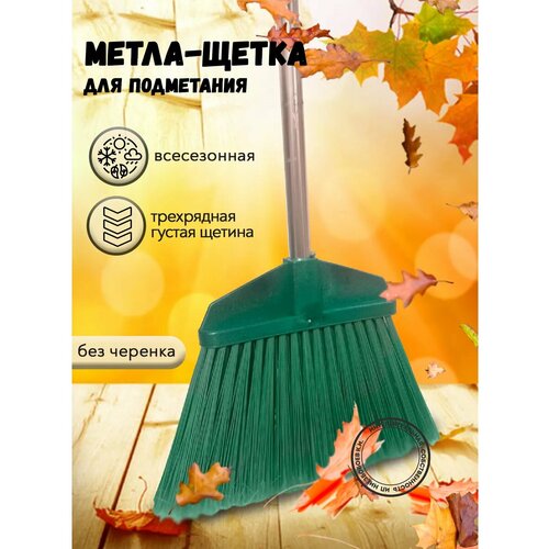 ������ ������ ����� ������� ����� ����