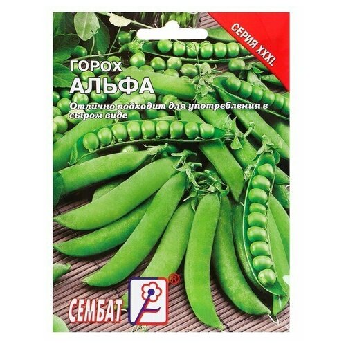 ������ ������ ������ ���L ����� 