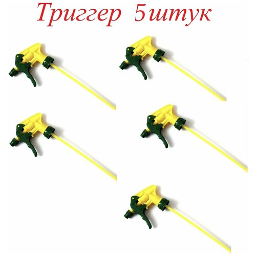 ������ ������ ����������� �� ������� (������� ) 5 ���� ����