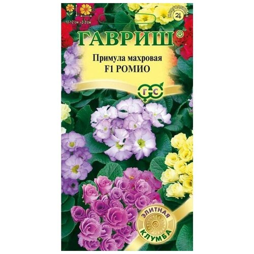 ������ ������ ������. ������� �������� 