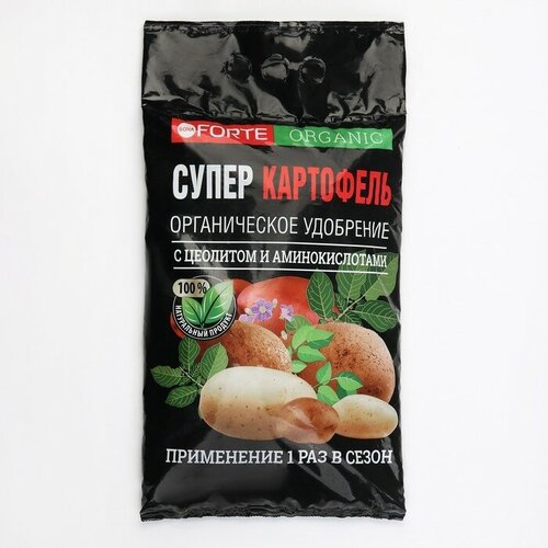 ������ ������ ��������� Bona Forte ������������ ����� ����� 2 �� ����