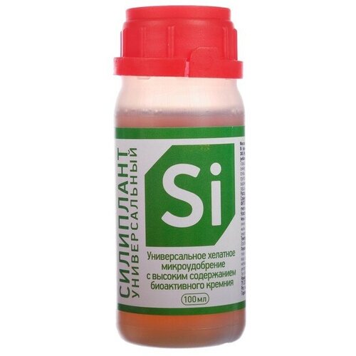 ������ ������ ��������� 100 �� ����