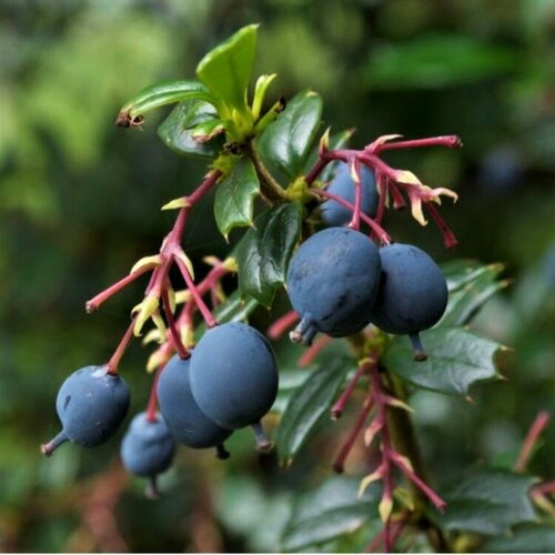 ������ ������ ������ ������ �������� ������ 20 ��. ����