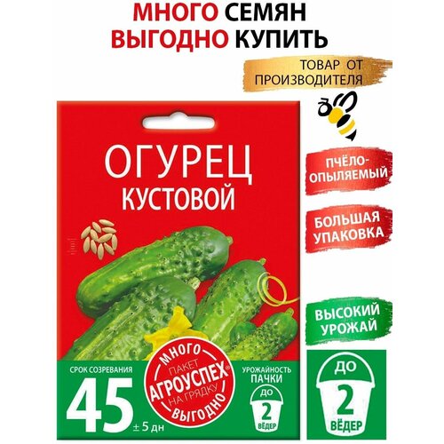 ������ ������ ������ ��������, ������ ��������� �����-������� 3� ����