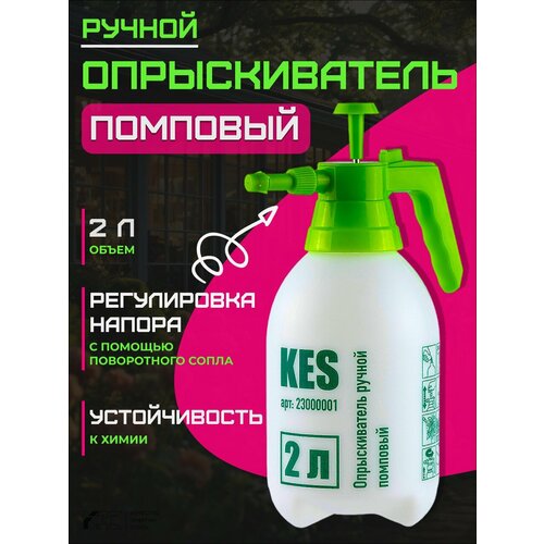 ������ ������ ����������� ��� ������ � ���� ����