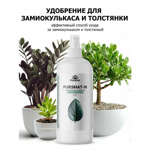 ������ ������ ��������� ��� ������������� � ��������� ������-� ����� 0,5 � ����