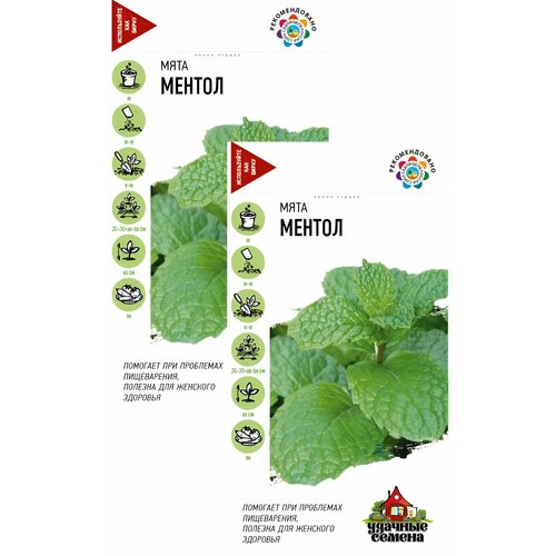 ������ ������ ���� ������ (0,05 �), 2 ������ ����