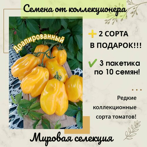 ������ ������ ����� �������������, ������� ��������, ����� ��� ����������, ������������� ���� ����