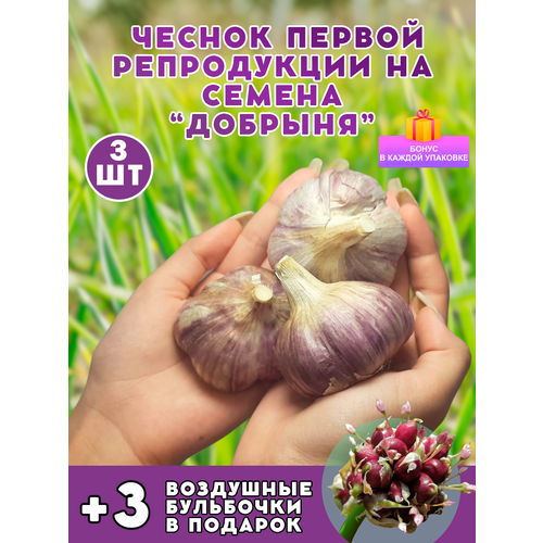 ������ ������ ������ �� ������� 