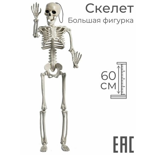 ������ ������ ������� ������ �������� ��������� �� ��������, 60 �� ����