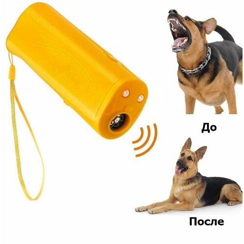 ������ ������ �������������� ������������ ����� 3�1 Training dog ����