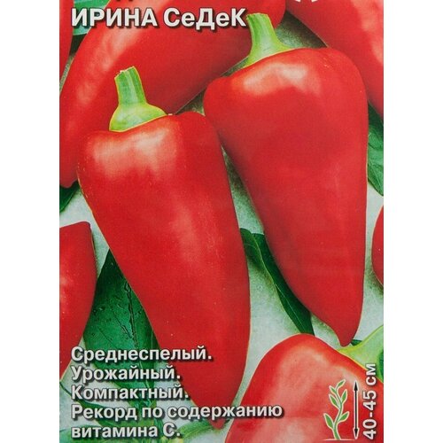 ������ ������ ������ ����� ������� 