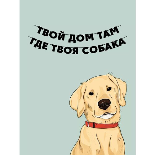 ������ ������ �������� �������� �� ���� ������ - ���� ������ ����