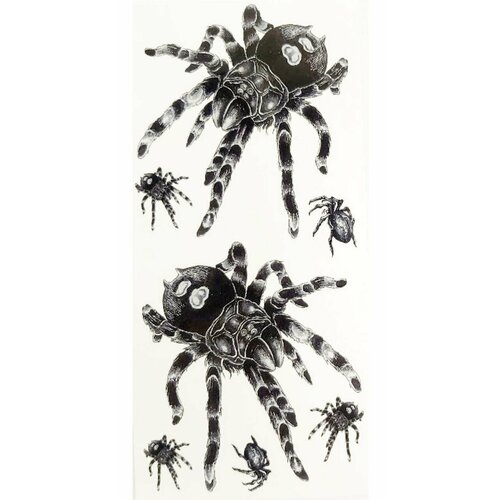 ������ ������ ����� ��������� ���������� ������ ����� (�����) �����������, 7��. � ������, ���� 19�9��. ����