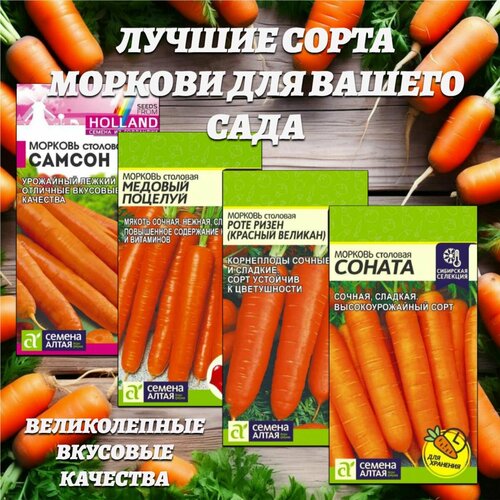 ������ ������ ������ ����� ������� ��� ������ ����. ������ ����� ����