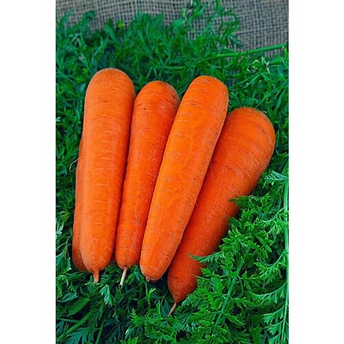 ������ ������ ������ ������� 