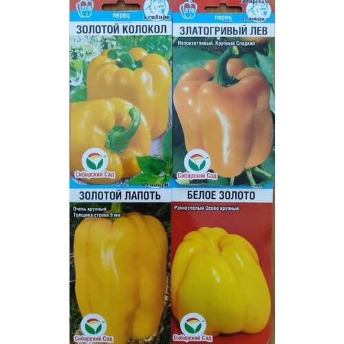 ������ ������ ����� �� 4� ������ ������� ������ ���������� ����� ����