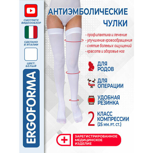 ������ ������ ����� ���������������� (������������) Ergoforma EU 267, 2 �����, ������ 1 ����