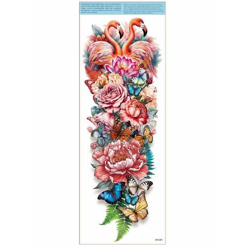 ������ ������ ���������� ��������� ���� ����� �� �������� / 45 � 17 �� ���� ����