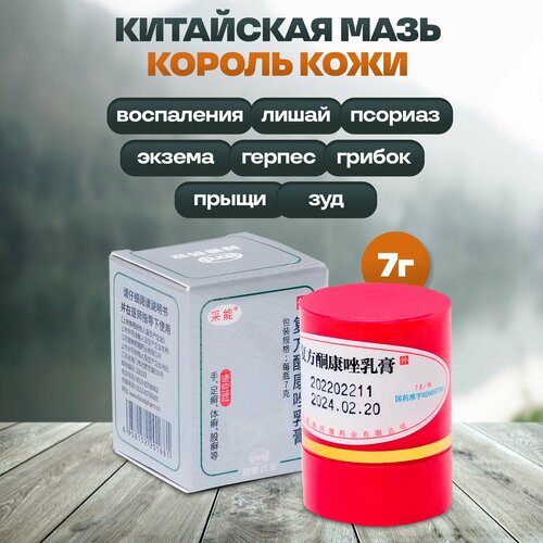 ������ ������ ���� ������ ����, 7 �� ����