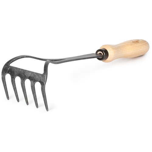 ������ ������ ��������� ������� ����� DeWit ����