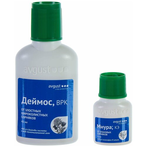 ������ ������ �������� ������ �� �������� Avgust ������ 45 �� + ����� 12 �� ����