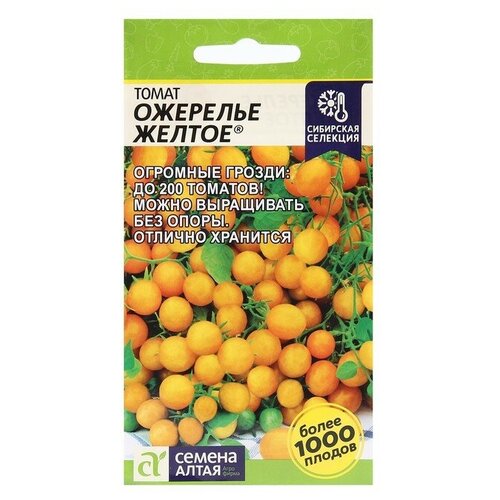 ������ ������ ������ ����� 