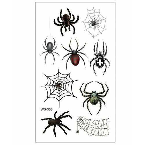 ������ ������ ���������� ���� ��������� ����� �������� ����