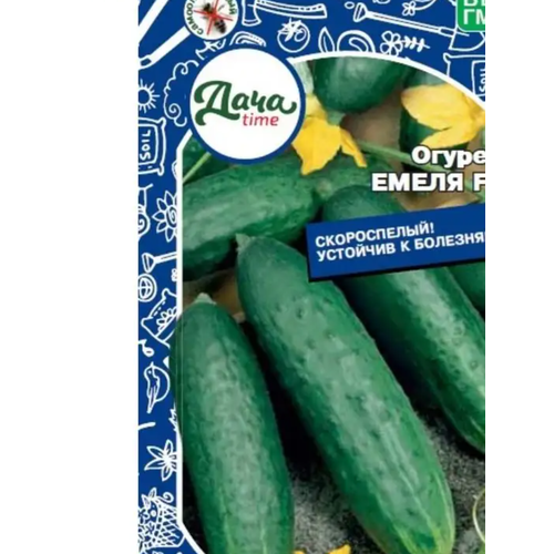 ������ ������ ������ ������ ����� F1 10�� ������������������ (����time) ����