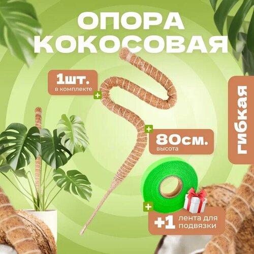 ������ ������ ��������� ����� ��� �������� ������, 80��, 1�� ����