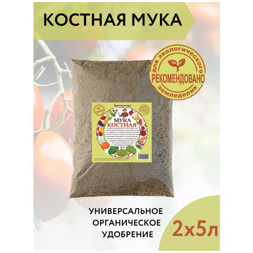 ������ ������ ����������� ���������� ��������� ��� �������� ������� ���� 5 �, 2 �� ����