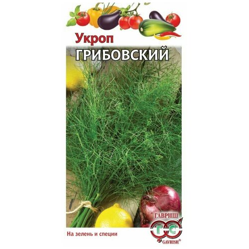 ������ ������ ������ ������ ����� ����������, 3 � ����