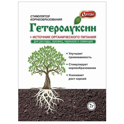 ������ ������ ������������ ����� 2� ����