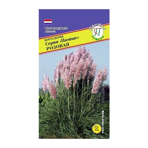 ������ ������ ������ ���������� 