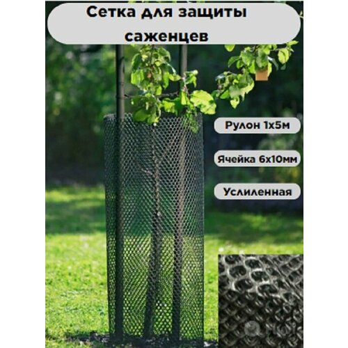 ������ ������ ����� ��� ������ �������� ������ 6�10 �� ����� 1�5� ����