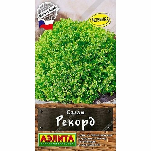 ������ ������ ������ ����� ������, ������������, (������) 0,5� ����